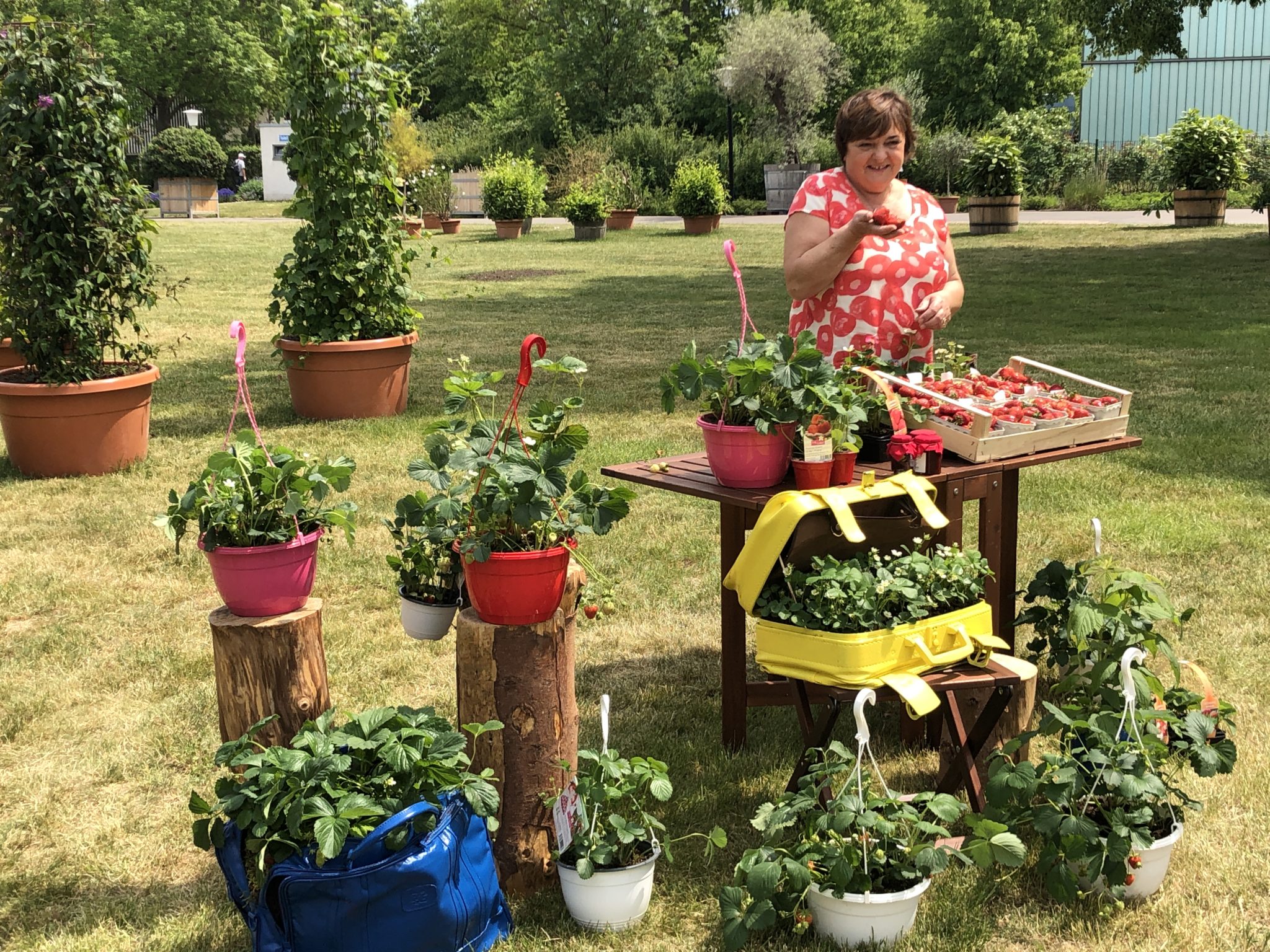 Der Erdbeerhof im MDR Garten Erdbeerhof ZeheleinSchemm