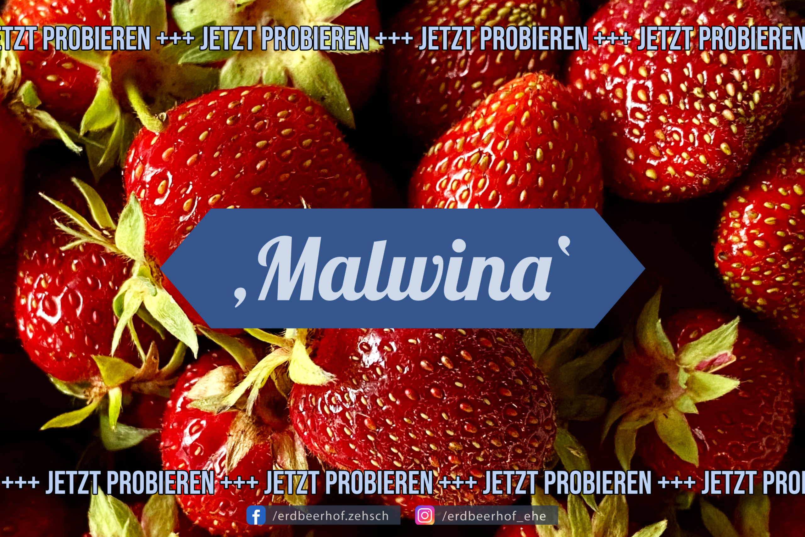 Malwina Erdbeere Titelbild
